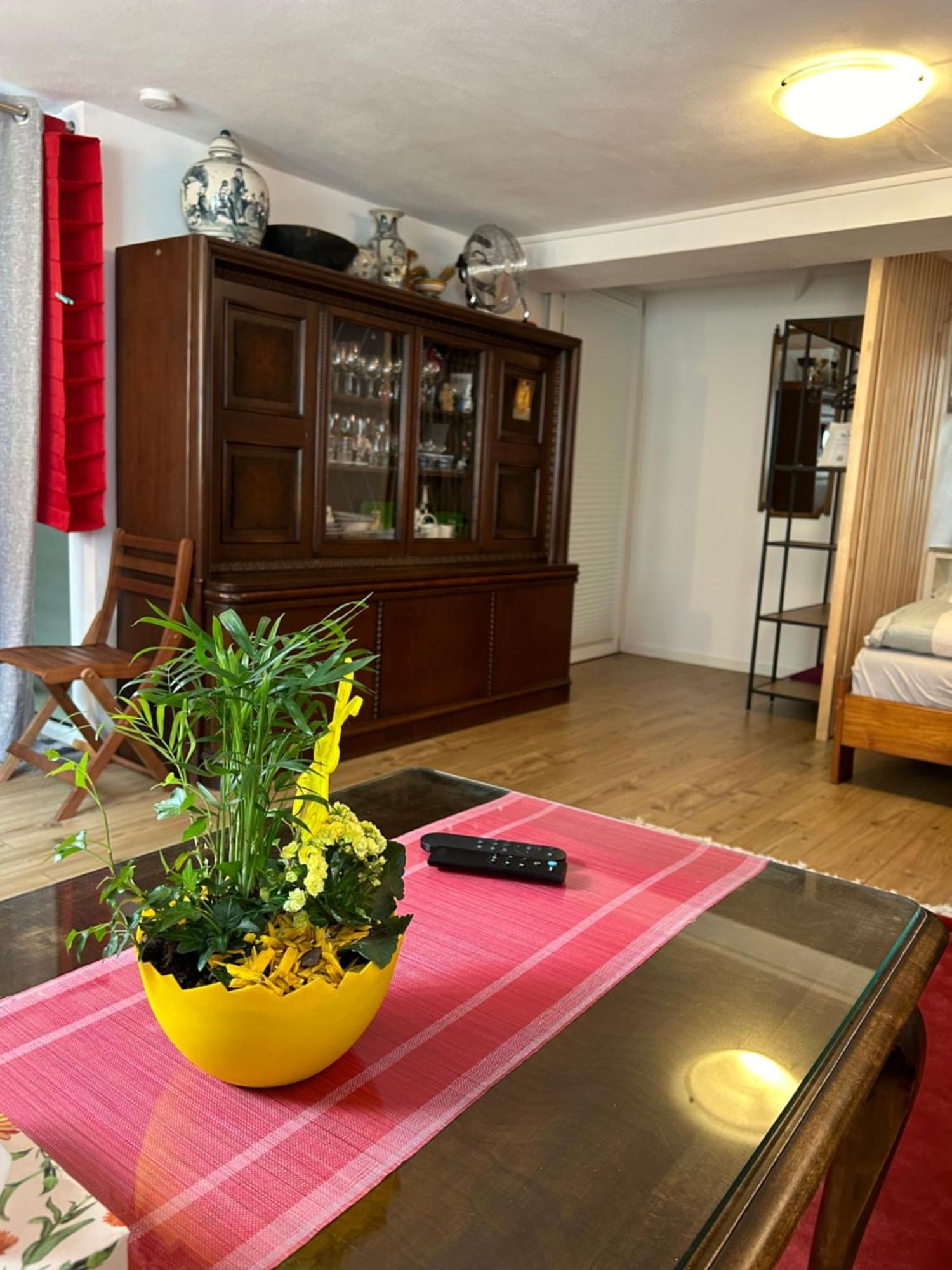 Homestay Вальдсхут-Тинген Экстерьер фото
